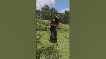 i ran into an old friend #rust