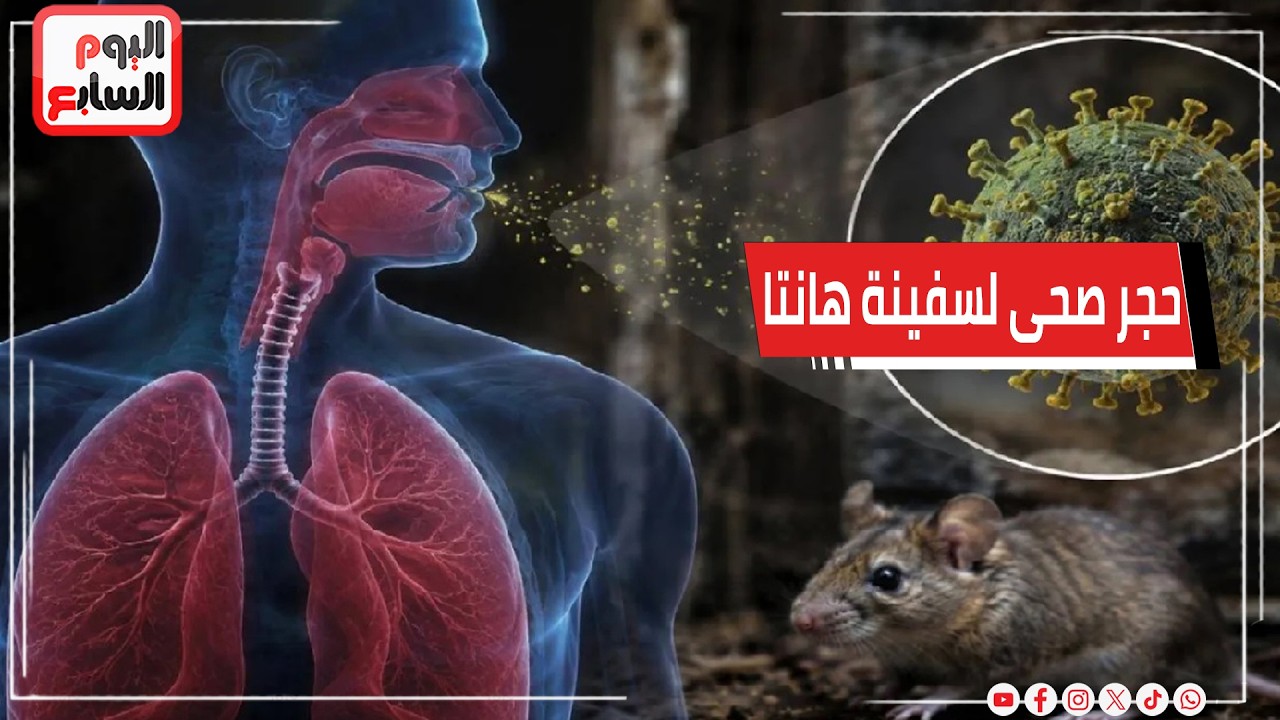 ���� ����� �������� ��� ���� ����� ����� ����� ����� ����� ����� 42 �����
 - نشر قبل 6 دقيقة