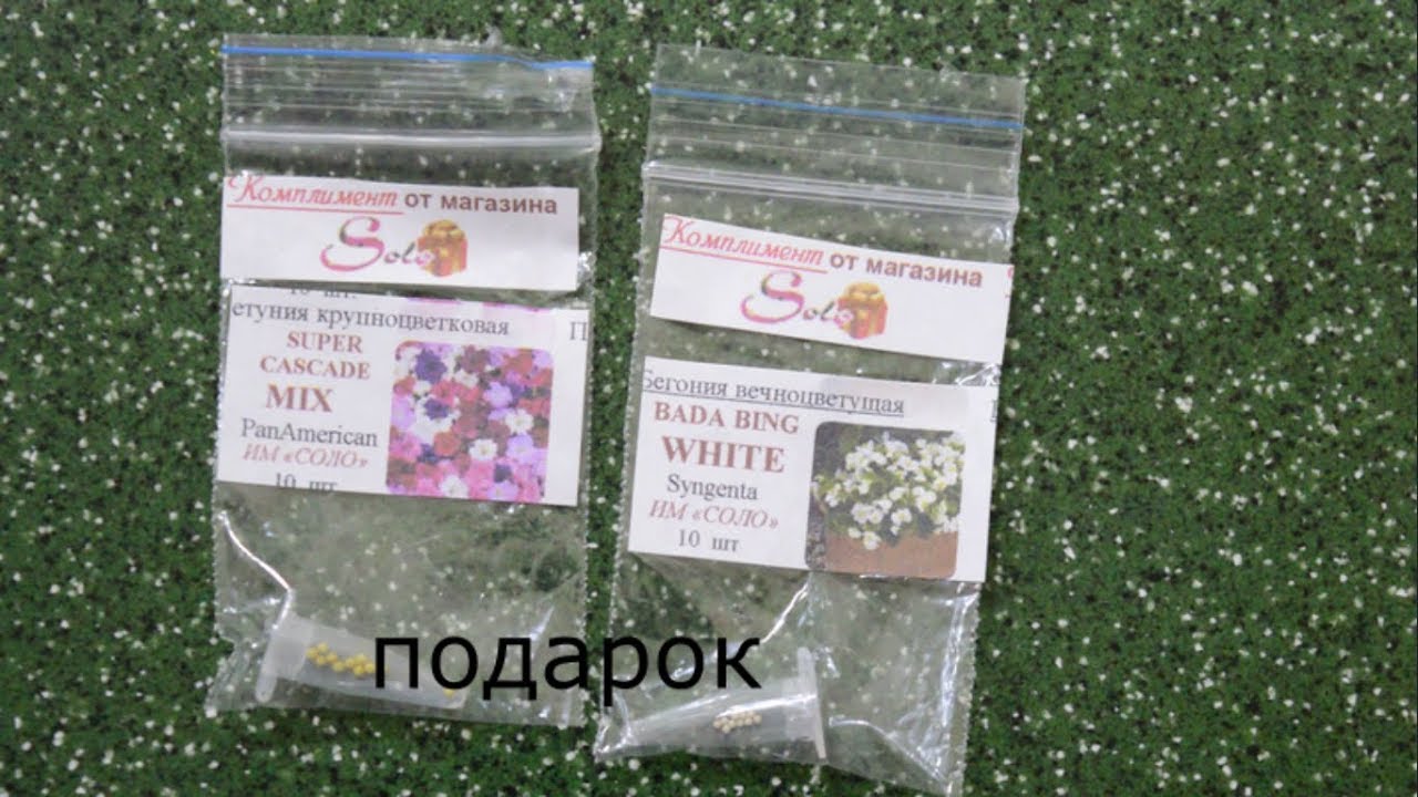 интернет магазин семян цветов белла
