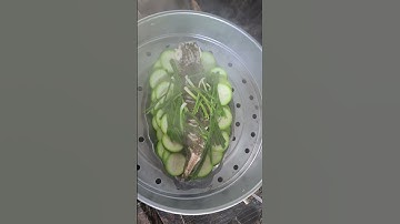 Cá lóc hấp bầu đậm chất miền tây.