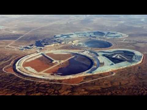 Video: Caspian Pink Məlumat - Xəzər Çəhrayı Pomidorunu Becərməyi Öyrən