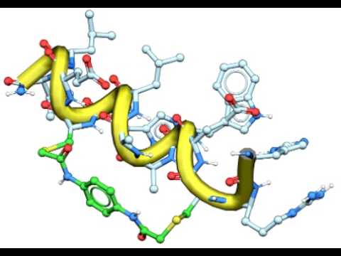 Peptide Modeling in MolSoft ICM-Pro Interactive Ligand Editor - YouTube