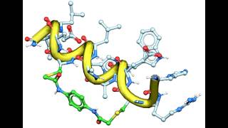 Peptide Modeling in MolSoft ICM-Pro Interactive Ligand Editor