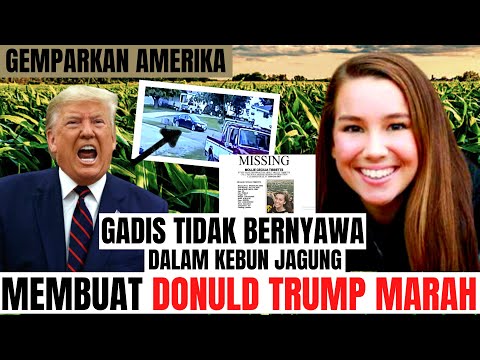 Video: Kisah Nyata Di Sebalik Kebiasaan Kepailitan Donald Trump