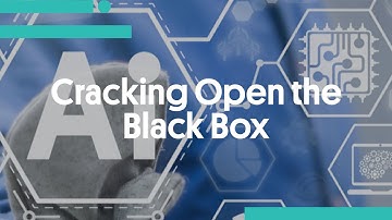 Cracking Open the Black Box: Promoting Fairness, Accountability, & Transparency Around High-Risk AI