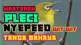 MASTERAN PLECI NYEPEED WIT WIT TANDA BAHAYA