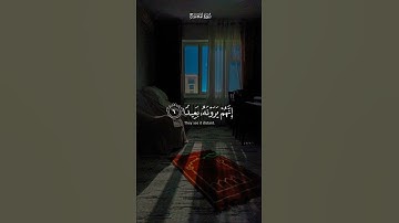 سورة المعارج القــــــآرئ أسلام صبحي 💙. #قرآن