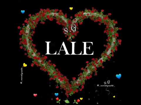 Lalə adına gözəl video lale #lale #lalə ❤🌹😇💕