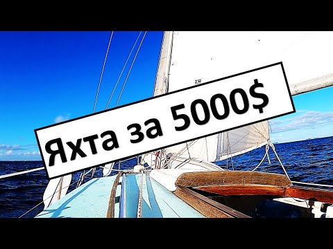 Видео: Яхта за 5000$ в Новой Зеландии