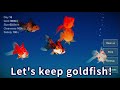 Goldfish 3D - Relaxing Aquarium Fish Tank App