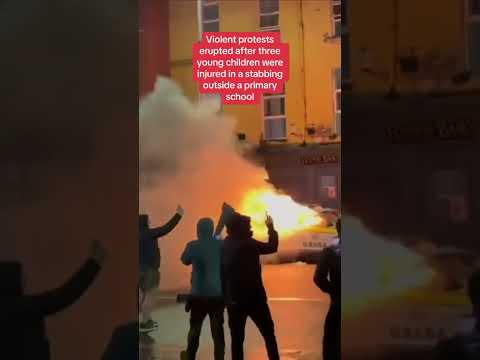 Police officers with riot shields held back crowds in dublin where a police car was set on fire