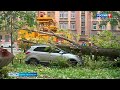 Поваленные деревья и светофоры: в Петербурге бушует шторм