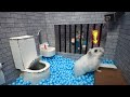 Hamster escapes prison maze  best of hamster adventures pets in real life live stream