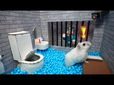 Hamster Escapes Prison Maze 🐹 Best of Hamster Adventures pets in real life 🛑Live Stream