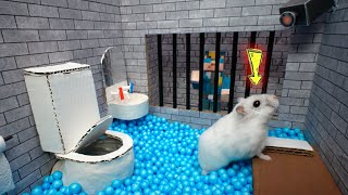 Hamster Escapes Prison Maze 🐹 Best of Hamster Adventures pets in real life 🛑Live Stream screenshot 3