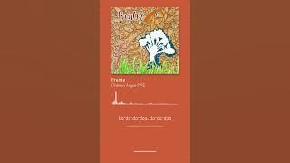 Frente - Ordinary Angels (1992) | Lyrics
