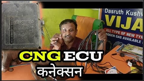 CNG ECU WIRING