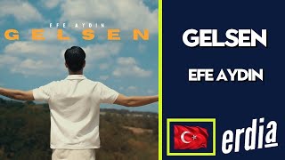 Gelsen - Efe Aydin