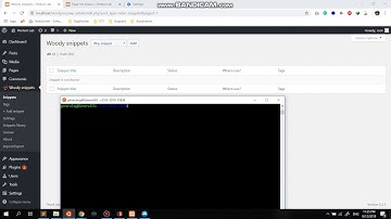 Unauthenticated RCE at Woody Ad Snippets / CVE-2019-15858 (PoC)