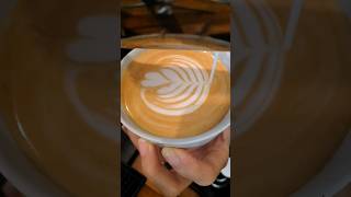 Cappucino with tulip basic latte art
