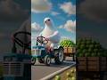 The farmer scolds the pigeon after drinking all the sugarcane juice 😭#ai #pigeon #farmer