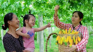 Love the bitter melon season: Bitter melon stuffed with meat and dreamy flower garden