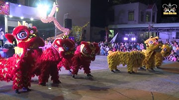 Khương Nghĩa Đường: Múa lân - Ngày Hội Lân Sư Rồng Vũng Tàu 2019