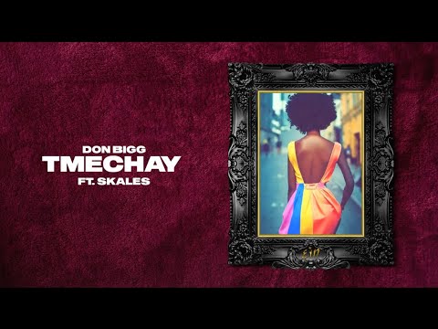 DON BIGG Tmechay Ft Skales Official Lyric Video Clean Version