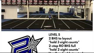 2020 Level 5 Tryout Mini Routine