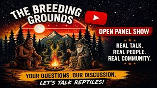 The Breeding Grounds Episode 27 - Open Panel