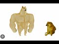 виношу живчика на камеру
