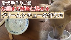 愛犬が大好き 帝塚山ハウンドカム Houndcom公式