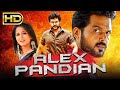 Alex Pandian (HD) South Hindi Dubbed Movie | Karthi, Anushka Shetty, Santhanam