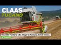 News 2019 - CLAAS Tucano / Montana Stage V - moissonneuse batteuses / Combine Harvesters