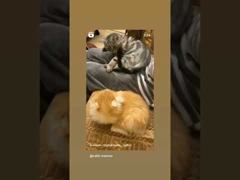 هكذا بيدء الحب بالعنتد حب