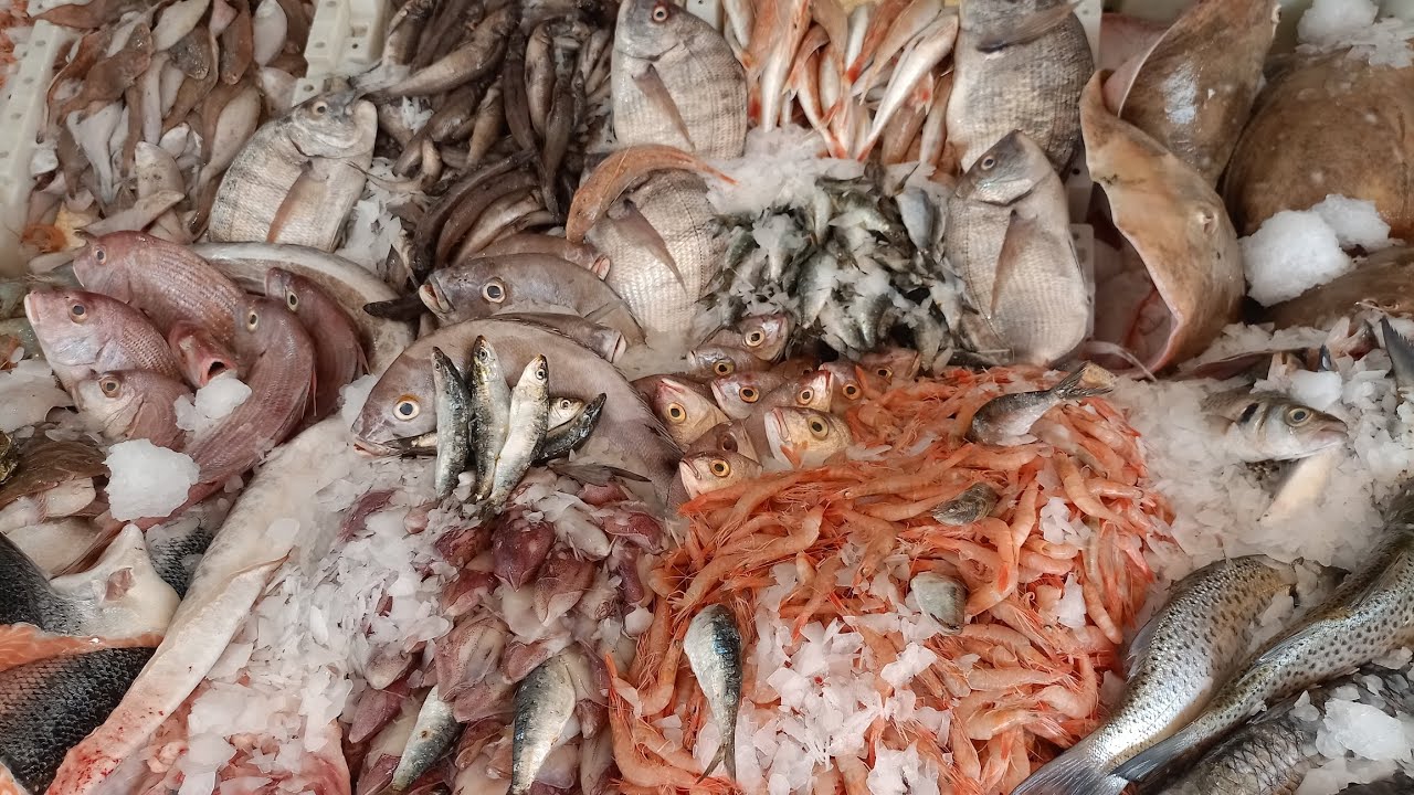 حتى اليوم الخميس كاين الحوت عند عادل 18.9 2025المليح الكدوب لا 