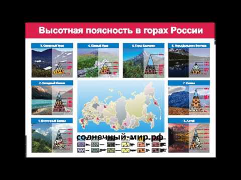 Высотная поясность. Высотная зональность — реферат по высотная зональность реферат