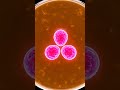 pink core 💗 living triangle bloom #shorts #asmr #bioart #microreaction #sciencevisual