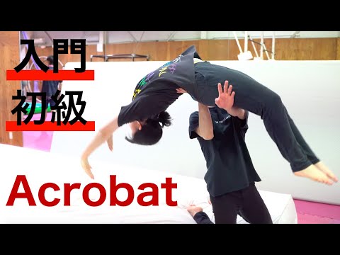 アクロバット 入門・初級