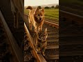 Dog Saves Cat from Train Tracks in Heart-Stopping Rescue! 🐶❤️🐱