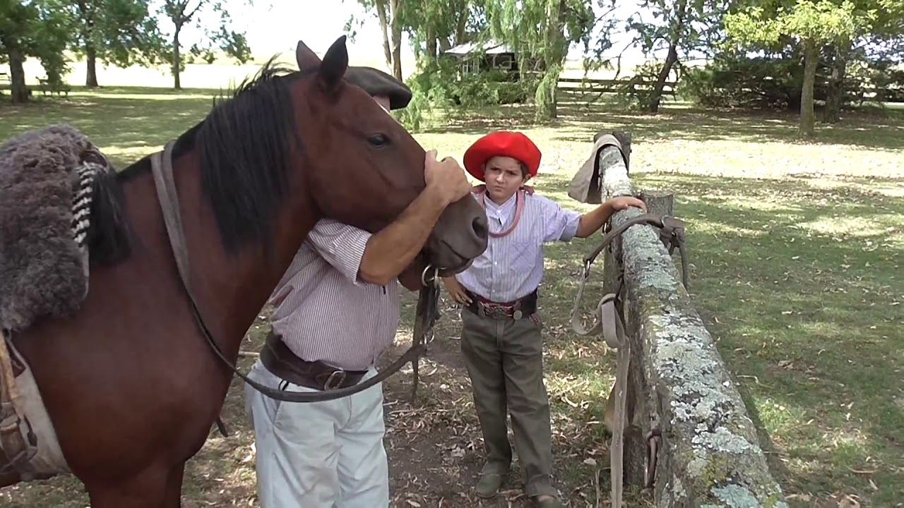 -VENDIDO A FERNANDO- PETIZO DE 5 GALOPES $ 13.000 WWW.LOSBAGUALES.COM.AR