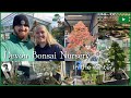 Devon bonsai nursery in the winter 