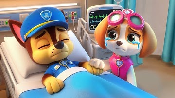 CHASE is SICK!_ Please Don