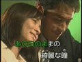 倖せありがとう 藤原浩 カバー 王瑞德