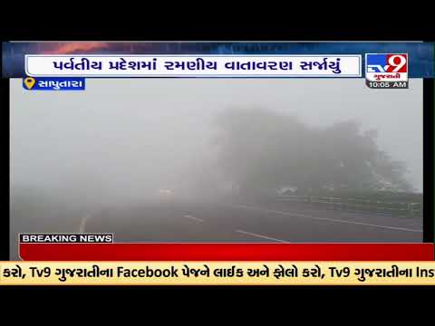 Zero visibility in Saputara as dense fog covers the sky, Dang | TV9News