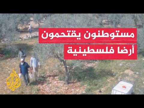 شاهد | كاميرا مراقبة توثّق اقتحام مستوطنين لأرض زراعية في نابلس