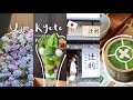 Kyoto vlog  trip to uji matcha desserts cozy vibe explore city  ramen 