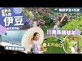 【東京近郊】EP4伊豆：￼乘海景觀光列車吃和牛🌊伊豆高原大室山火山口走一圈＼下田市新名所📸寢姿山打卡茶室／下田賞花．橫濱高達．羽田機場新設施｜附詳細交通｜南伊豆｜靜岡自由行｜一人旅｜箱根伊豆4日遊