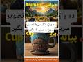 10 لغت پرکاربرد انگلیسی با تصویر | یادگیری آسان با عکس. #shorts #ielts #english #لغات_انگلیسی #زبان