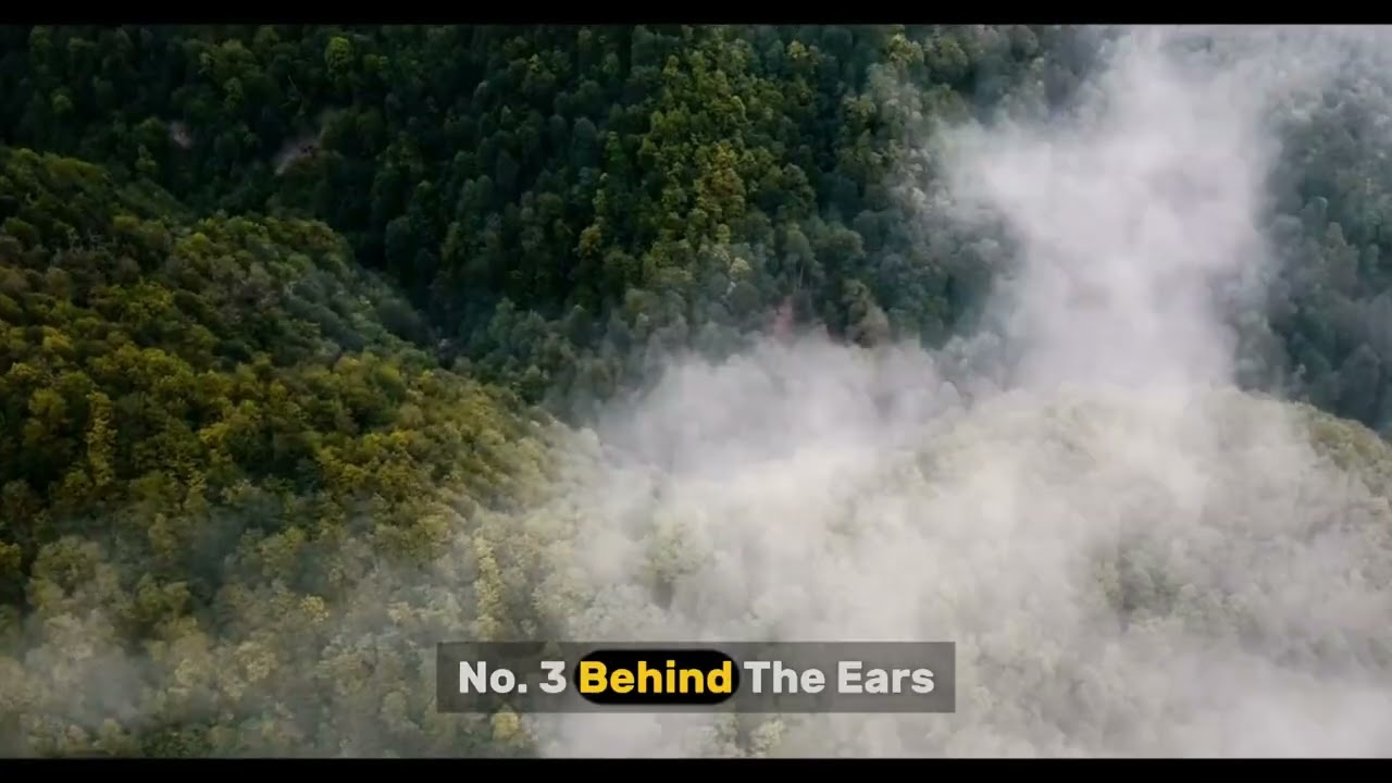 Why You Must Clean These 5 Body Parts Daily After 70 to Stay Healthy and Prevent Infections! older